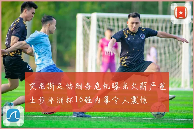 突尼斯足协财务危机曝光欠薪严重止步非洲杯16强内幕令人震惊
